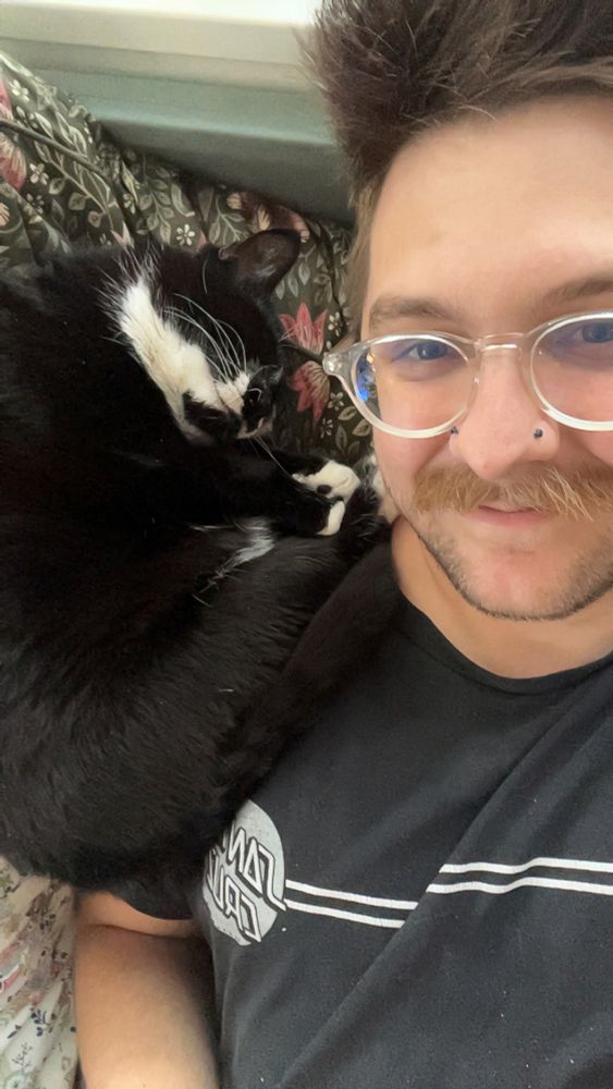 Spooky Bones the tuxedo cat cuddles on a pillow next to the post author 