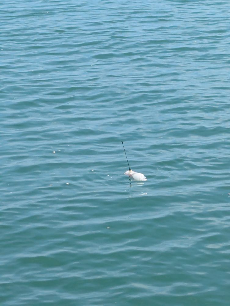 A white GPS tagged plastic bottle floating in a turquoise coloured ocean