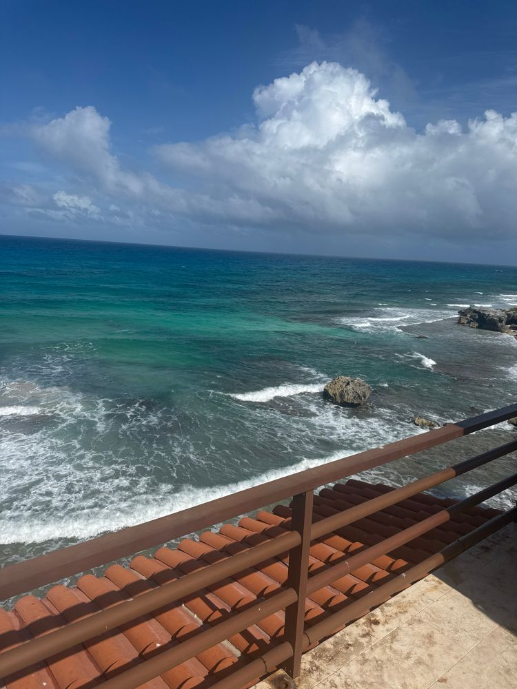 A view from the rooftop of a house in Mexico, looking out at the Caribbean Sea. The bluest of blues and glowing turquoise water. A view i wish I could give myself every day of my life. What would happen if I just said I’m not coming back to the U.S.? Probably not too much. Certainly nothing I couldn’t handle. But I grapple with the discomfort of the unknown, uprooting my life and my kids lives and the ease of the known. Anyway, appreciate you reading my secret alt text therapy session. 