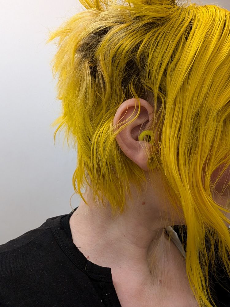 Close-up side view of Bus's head with bright yellow hair and matching bright yellow Loop Quiet 2 earplugs. The earplugs are visible in Bus's ear.