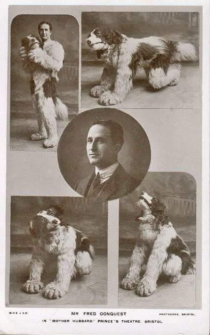 An old photo collection of a Mr Fred Conquest wearing a fucking fantastic fursuit for 1910-ish