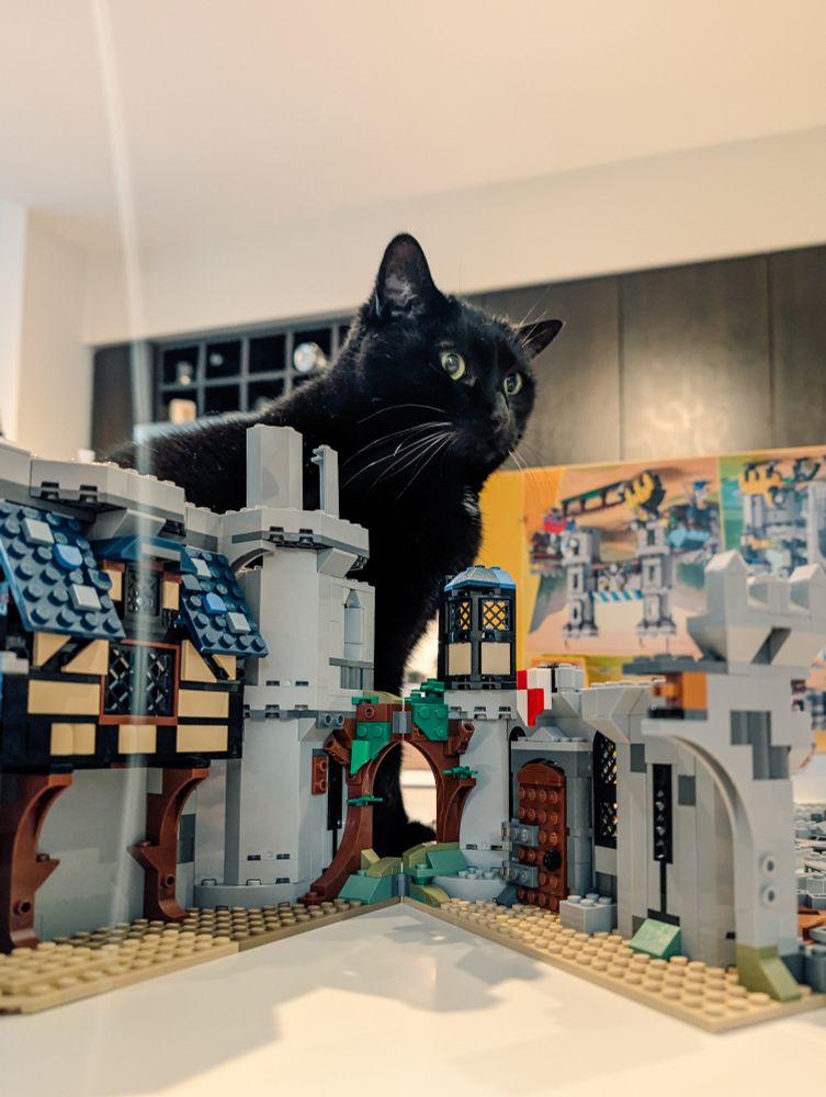 A black cat looms magestically over a half-finished LEGO castle on a tabletop