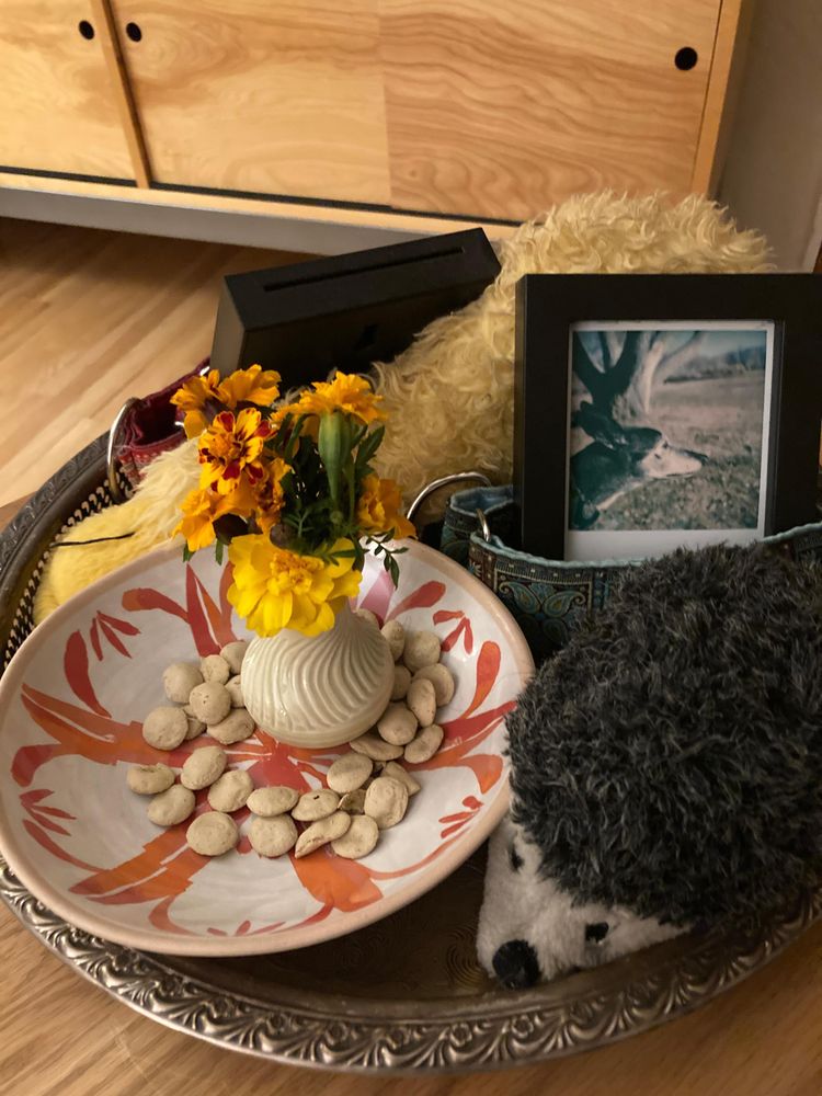 Ofrenda on a silver tray: marigolds, dog treats, photos, a collar, and a favorite stuffy.