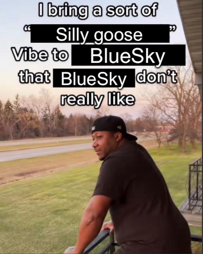 Meme: I bring a sort of
Silly goose
Vibe to BlueSky
that BlueSky don't really like