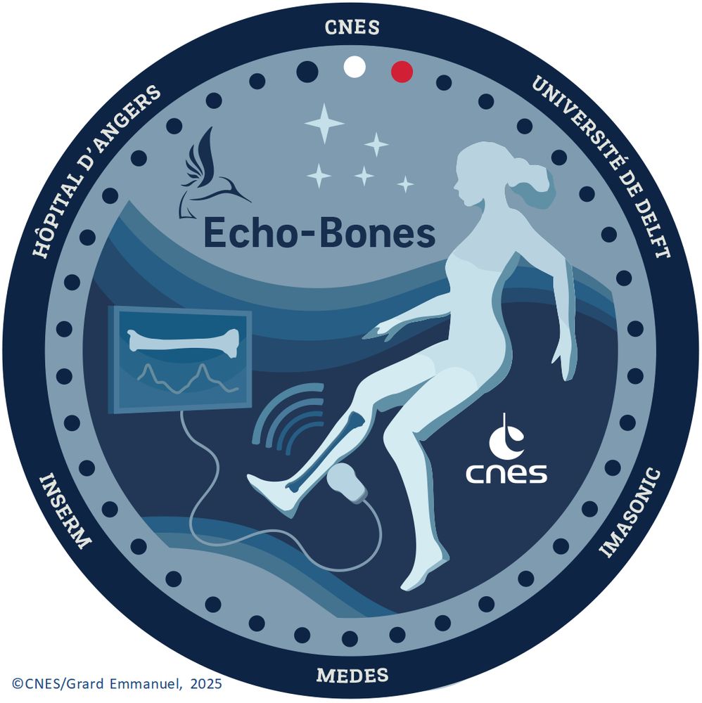 Ecusson de l'expérience Echo-Bones