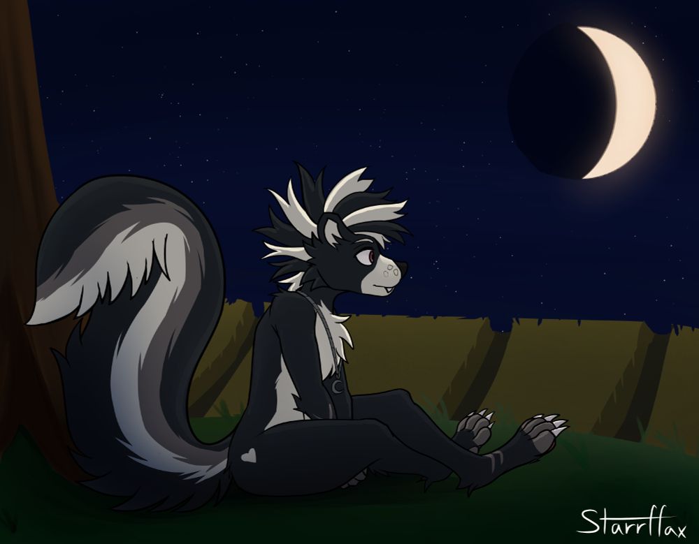 Picture of a realistic skunk sitting at a field at night gazing into the distance. A crscent moon hangs in the sky. This drawing that looks 2d and is drawn digital is actually a realistic render. just look at the sky!