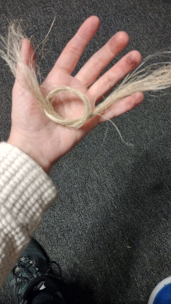 A small combed bundle of tan yucca fiber rests on a dirty hand. The fiber has a loose knot in it to keep it together. The background is a short blue carpet, and you can see a section of the crafter's shoe. 