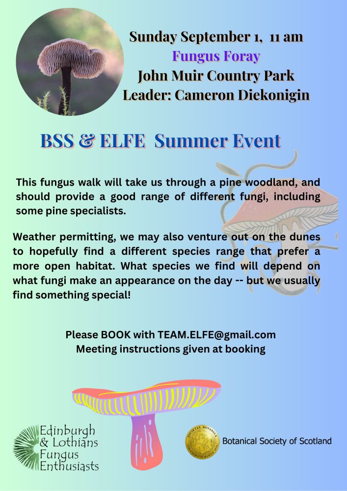 Summer Fungus Foray at John Muir Country Park