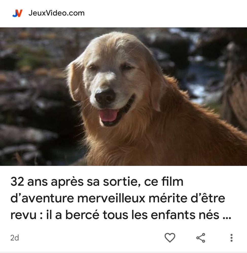 capture d'écran montrant un titre d'un article de JeuxVideo.com disant "32 ans après sa sortie, ce film d'aventure merveilleux mérite d'être revu : il a bercé tous les enfants nés ..." la suite est coupée, il y a l'image d'un chien de race golden retriever au dessus du texte il s'agit de Shadow, l'un des personnages du film L'Incroyable Voyage dont parle l'article 