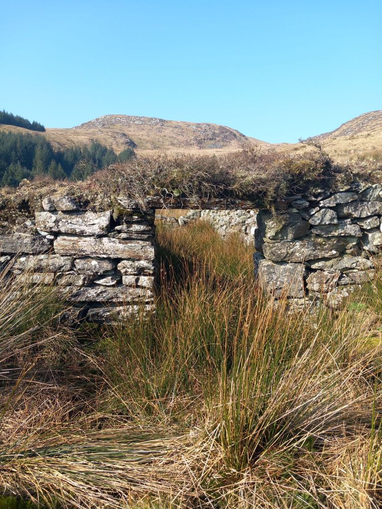 Photograph of a low stone wall with a gap topped by a lintel on which heather is growing. The well-made wall is covered with lichen and has clearly been in place for a long time. In the foreground and middle distance the ground is covered with long, coarse grasses. There are hills in the distance and the sky is blue.