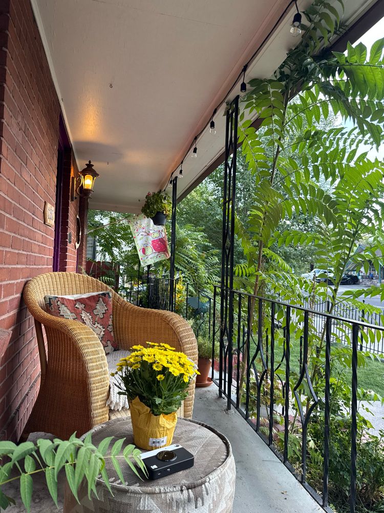 Photo of a front stoop. Lots of vegetation and flowers everywhere. A wicker chair can also be seen.