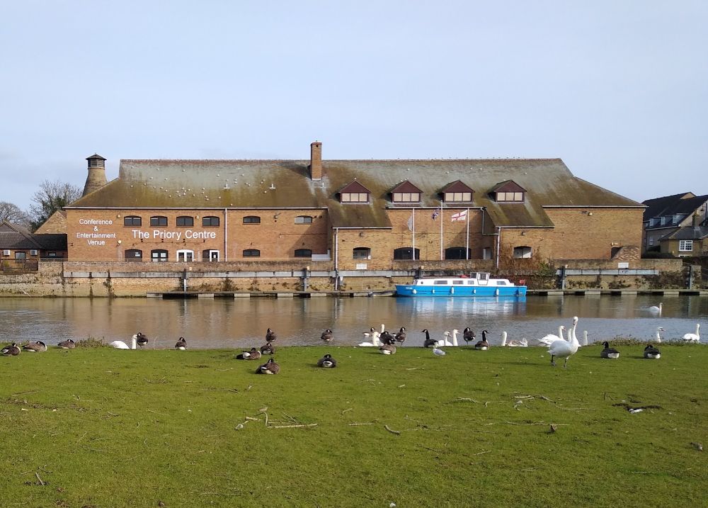 The Priory Centre at St Neots seen from the park across the river. There are lots of swans and geese in the front of the shot, and a small blue boat on the river.