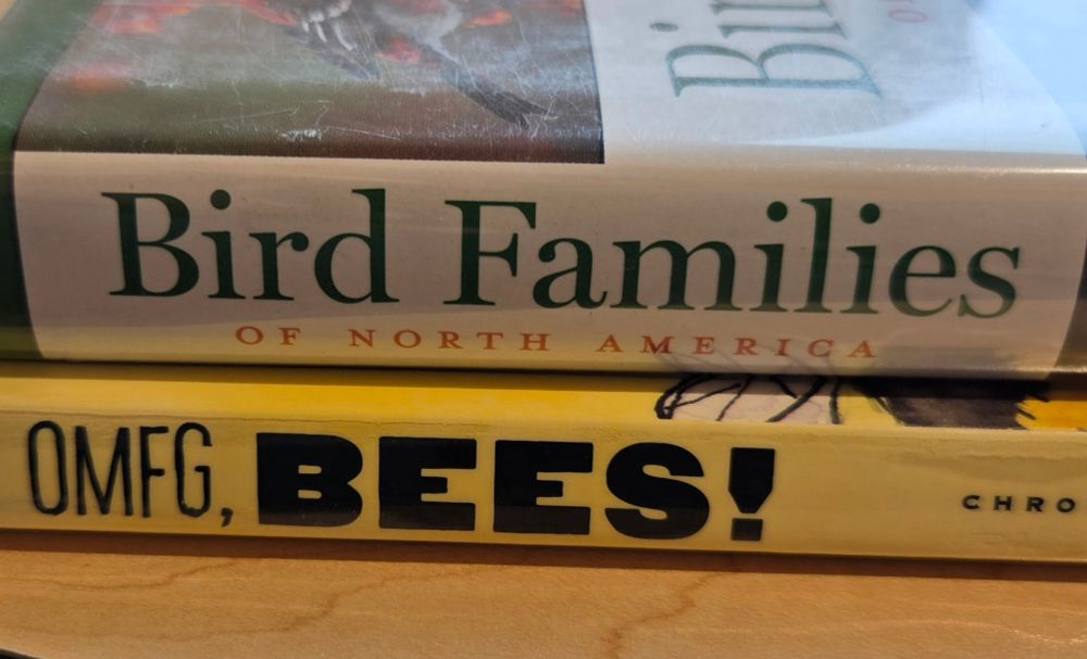 Book spines titled "Bird Families of North America" and "OMFG, BEES!"