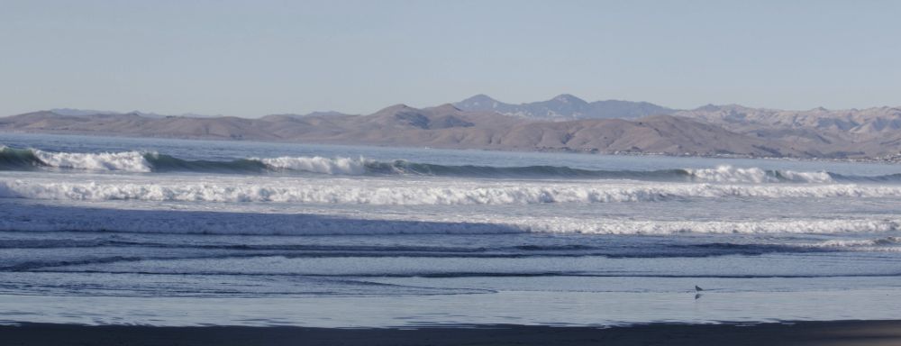 Waves with mountain in background and bird in foreground