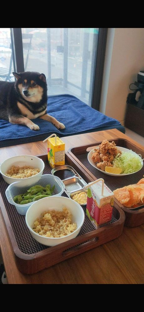 Homemade karaage, satsuma imo tenpura and edamame for dinner today :)