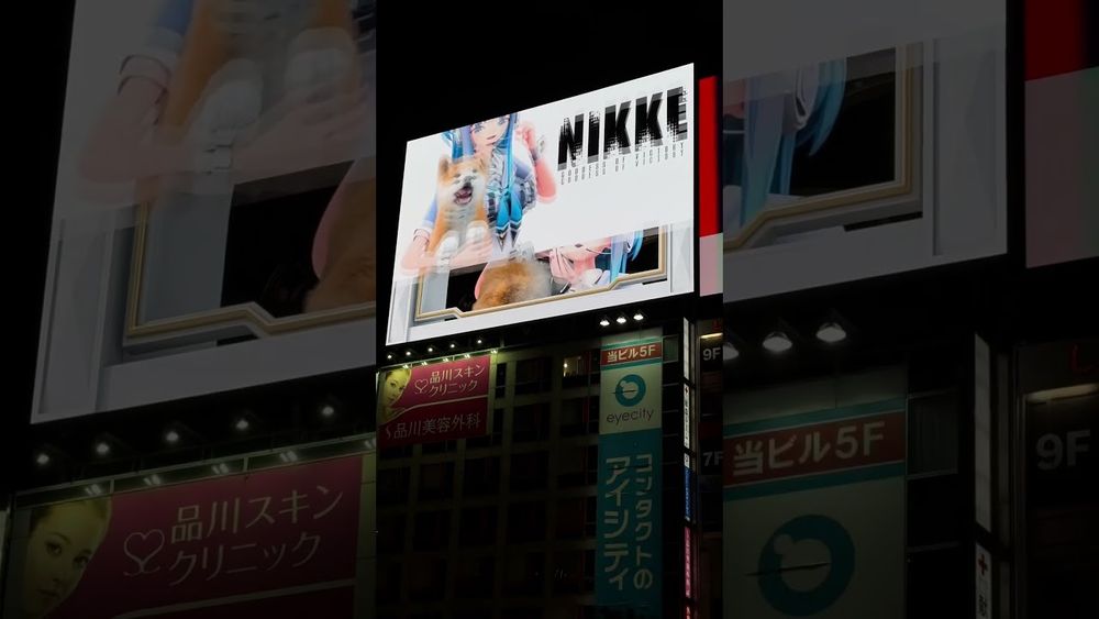 An adorable Akita Inu jumps across Shibuya’s screens, starring in a 3D karakuri clock. 🐕🕦#akitainu