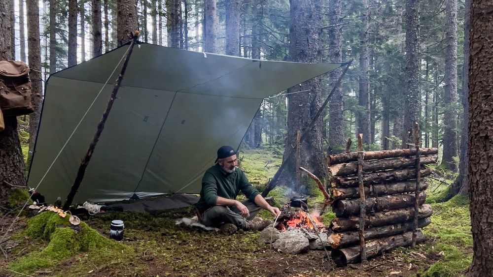 3 Days Solo Bushcraft Camping – Mushroom Hunting – Tarp Shelter – Camping In The Rain