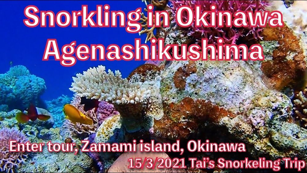 【#28 Tai’s Snorkeling Trip in Okinawa】Agenasikushima island, Zamami island, Kerama, Okinawa, Japan