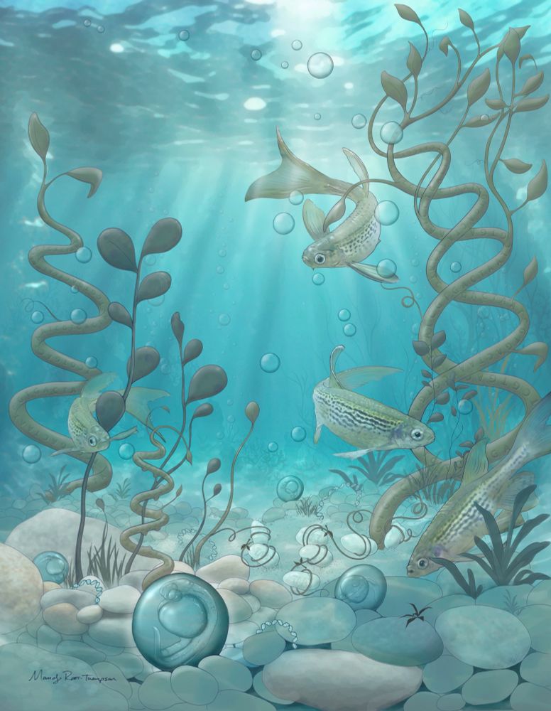 Kucinski et al developed in vivo zebrafish systems to study how an oncogenic transcription factor drives an aggressive pediatric cancer. This supported understanding the oncogene’s earliest activities, where it uses different binding modes to bind silent genes and then activate them. These findings are depicted by zebrafish invading closed DNA (TAAT wrapped around pebbles) or open DNA (GATTACA in plants). Overall, studying early oncogenic activities in a dynamic developmental context reveals critical mechanisms for transformation.