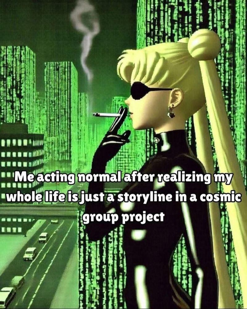 The picture shows a city scape, but the buildings are wrapped in green code a la The Matrix. Sailor moon is on the side, unaffected by the code, smoking a cigarette. She is wearing black sunglasses and a shiny black leather/PVC catsuit.