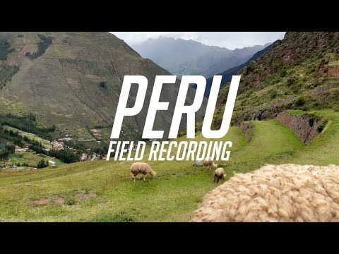 Peru Field Recording Trip - Overwatch 2 Sound Team (Internal video cleared for publishing)