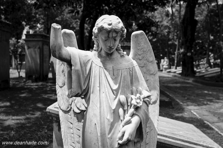 Black and white photograph of a damaged angel statue in an old Jakarta cemetery, with one arm missing and worn marble details showing heavy weathering and decay. Soft light highlights the statue’s serene expression and gothic composition, emphasizing themes of impermanence and historic graveyard sculpture.