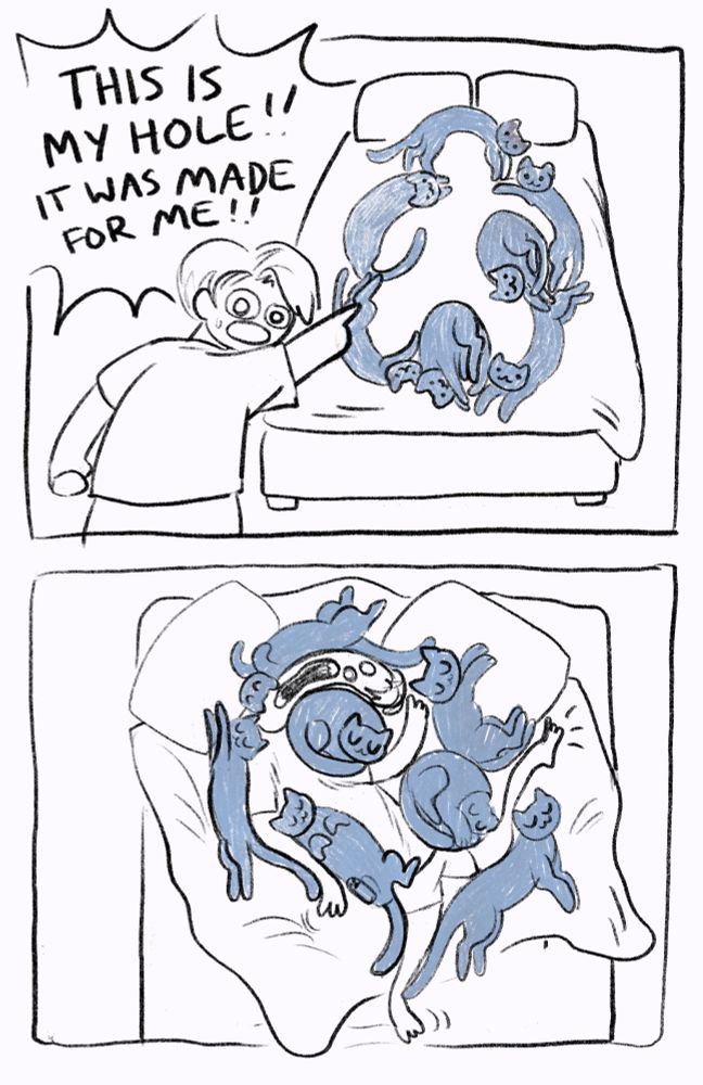panel 1: a person is pointing on a bed where cats are lying in a way that leaves a vaguely human outline in the middle, saying "this is my hole!! it was made for me!!
panel 2: a twisted shape of a person lies on the bed, screaling silently as the cats sleep peacefully in random positions