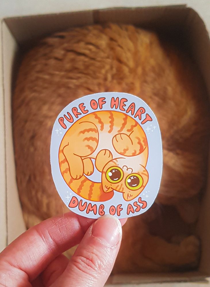 a sticker depicting an orange cat with words "pure of heart, dumb of ass" on it, with an orange cat sleeping curled up in a cardboard box in the background