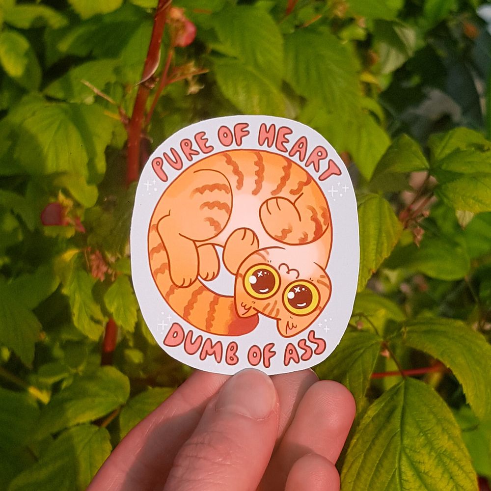 a sticker depicting an orange cat, curled up upside down, looking at the camera with big shiny eyes and the text around him reads "pure of heart, dumb of ass"