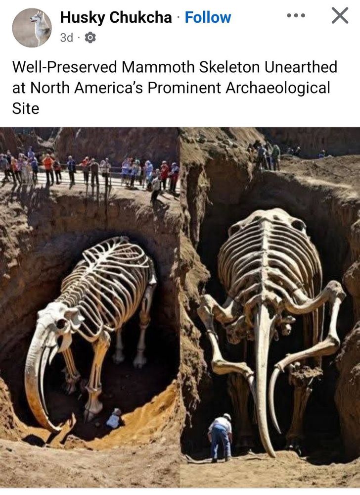 Well-Preserved Mammoth Skeleton Unearthed at North America's Prominent Archaeological Site