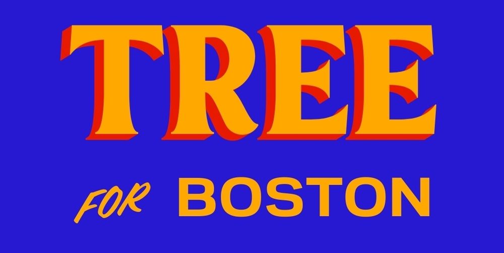 Tree for Boston a la Mamdani campaign design language - orange on blue