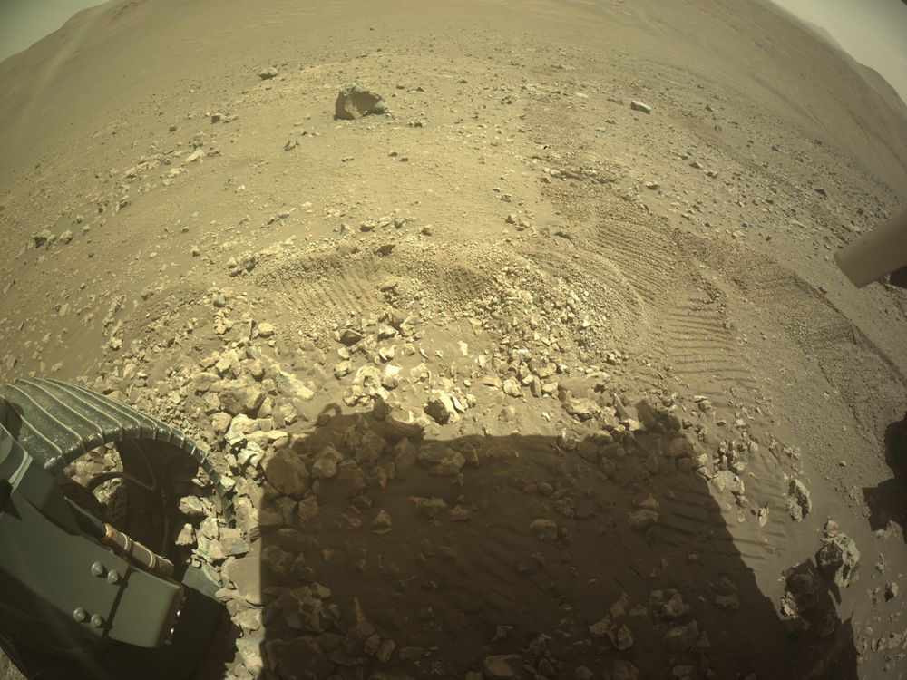 An ochre toned image capturing a Martian landscape, with the Mars rover Perseverance's shadow in the foreground. On the lower left corner of the image is seen one of Perseverance's wheel, inside which a number of stones have sneaked in.