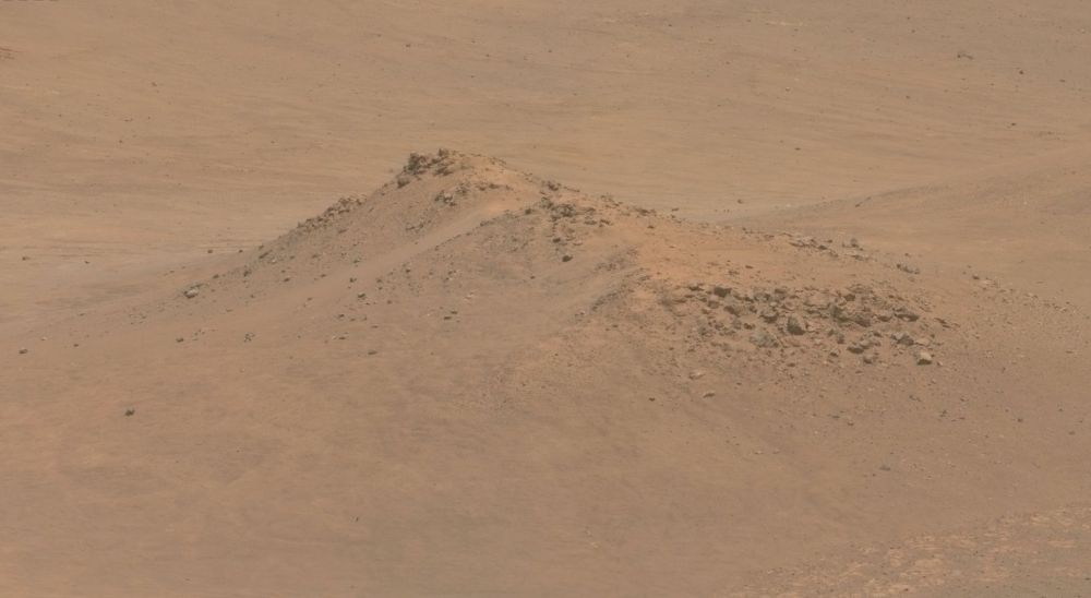 a zoom on the first image