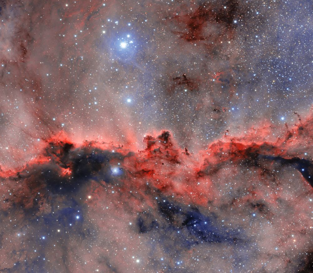 The Fighting Dragons of Ara, formally designated NGC 6188, is an emission nebula located about 4000 light-years away near the edge of a large molecular cloud in the constellation Ara (the Altar). The nebula was given its name for its resemblance to two ‘dragons’ emerging from within the ominous dark dust clouds to face off with one another. This image is of their ‘profiles’ pointed squarely at each other, captured by the DOE-built Dark Energy Camera (DECam) mounted on the Víctor M. Blanco 4-meter Telescope at the U.S. National Science Foundation Cerro Tololo Inter-American Observatory, a Program of NSF NOIRLab. The reddish glow of the dragons’ backs is ionized hydrogen, ‘lit up’ by light from the bright young stars — only a few million years old — in the nebula. Of these young stars, 27 form the beaming open cluster NGC 6193 (in the upper left quadrant of the image, left of the image’s centerline), which gives a background glow that further defines the outline of the dragons. These young stars have also been blowing off intense stellar winds since they ignited, sculpting and shaping the gas and dust into the mythical ‘duel’ that we see today.

Credit: Dark Energy Survey/DOE/FNAL/DECam/CTIO/NOIRLab/NSF/AURA
Image processing: R. Colombari and M. Zamani (NSF’s NOIRLab)