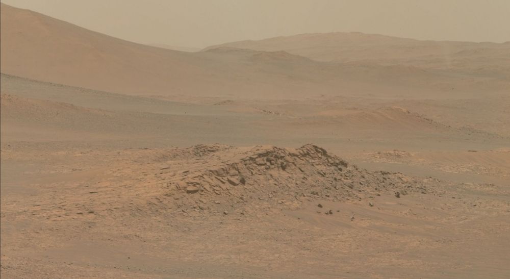 a zoom on the first image