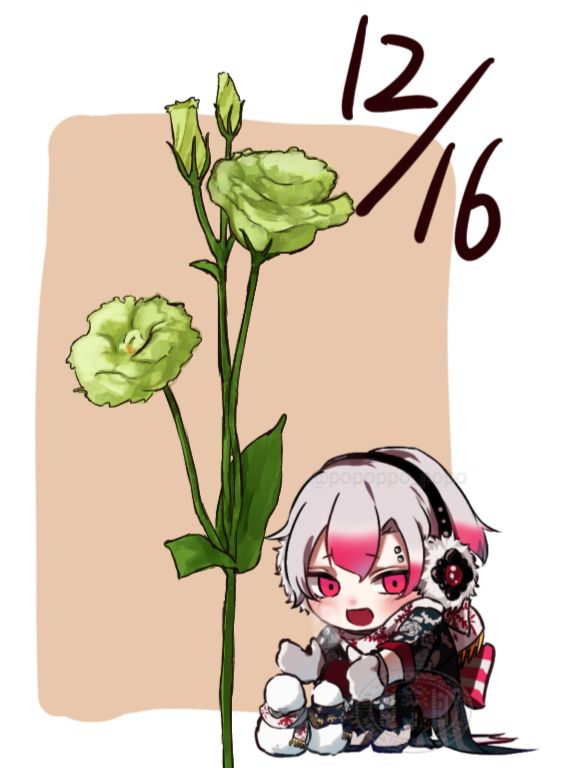 12/16 トルコギキョウ