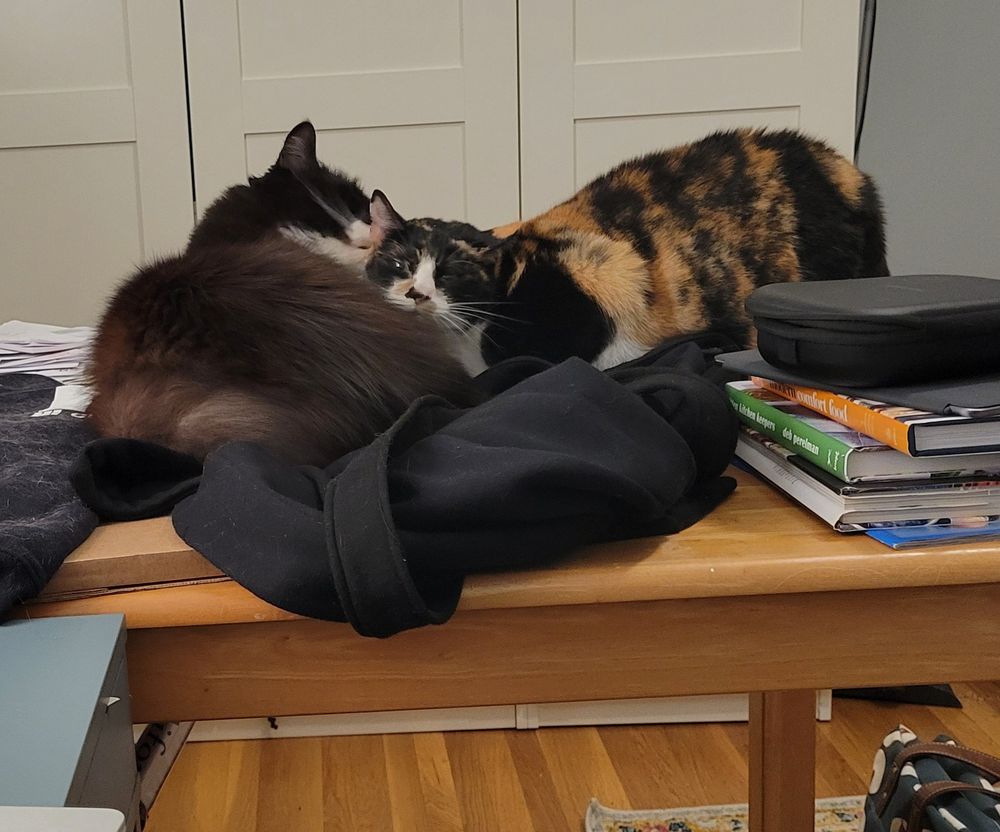 Jack is M U R D E R G R O O M I N G Pixie while she looks like she wants rescuing