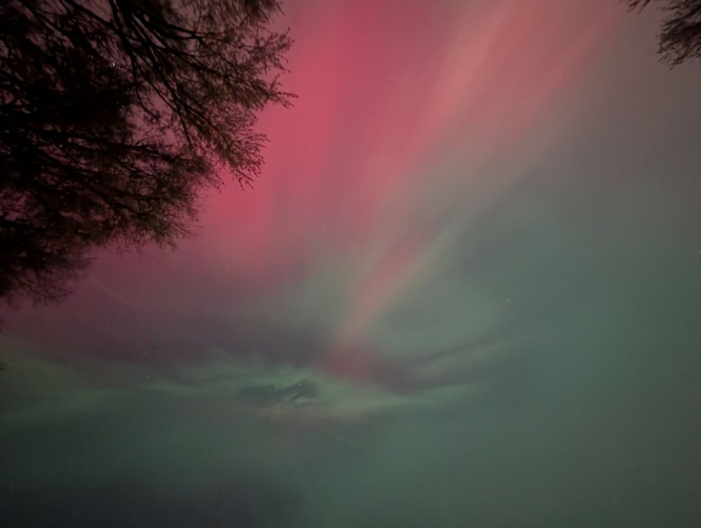 Light pink and green streaks light up the night sky from the Aurora Borealis on Nov 11.