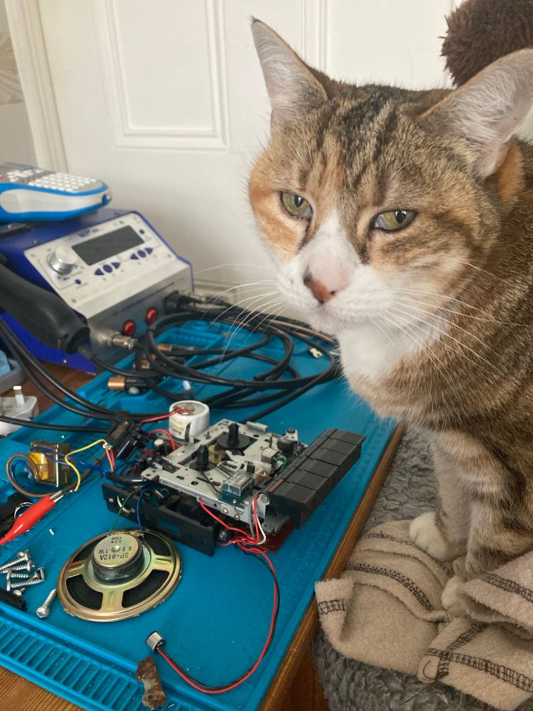 A cat sat next to a disassembled cassette recorder. 