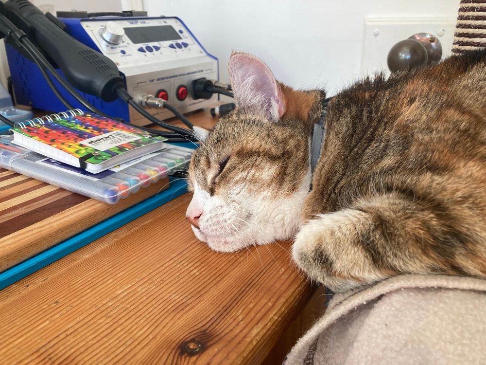 Sleeping cat on her desk level bed resting her chin on the desk. 