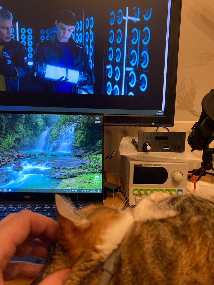 A cat watching Star Trek: Strange New Worlds on a computer monitor whilst lying on a desk. 