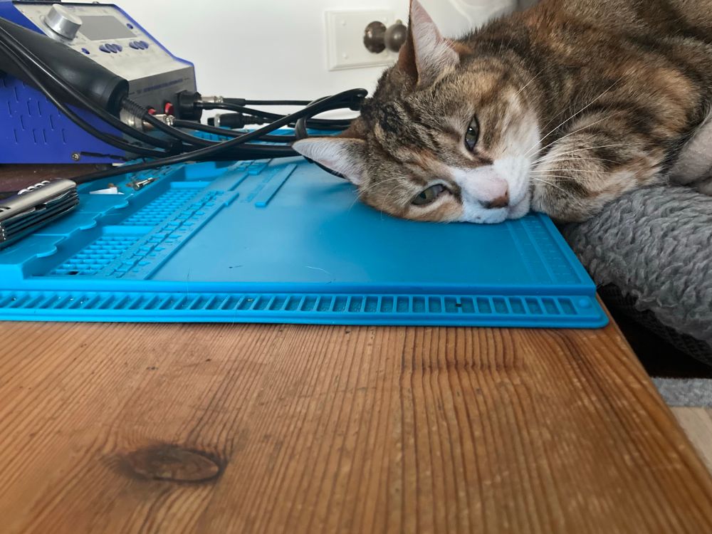 Cat resting her head on my blue soldering mat. 