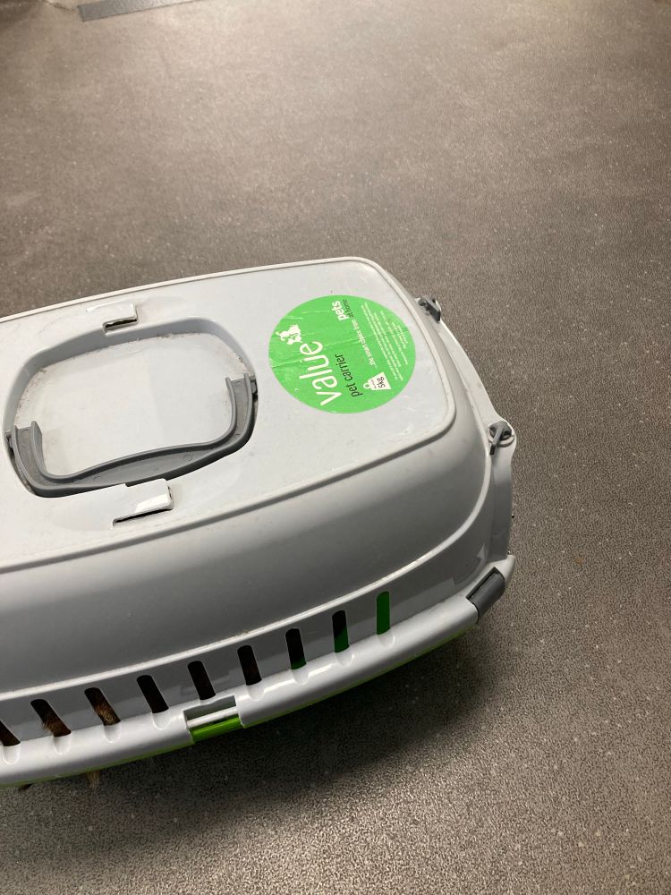 A grey cat carrier on the floor in the vets waiting room. I’m sad and have made a bit of a mess in here. 