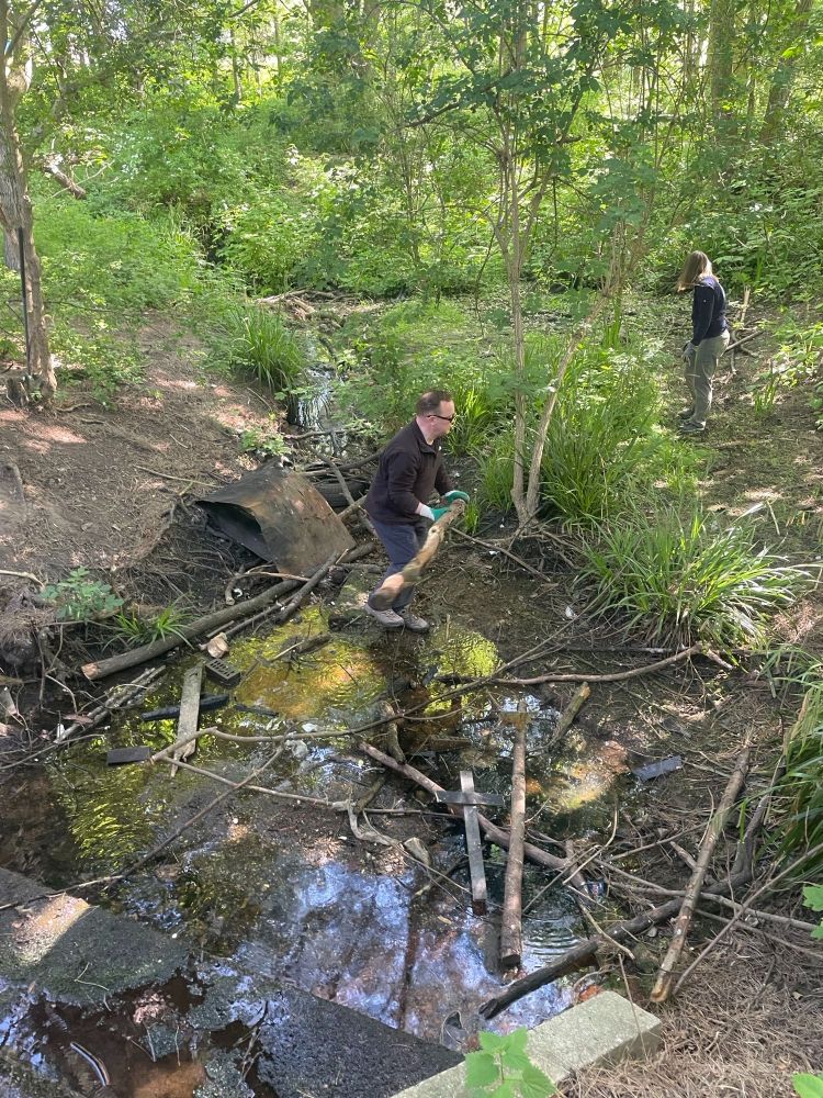 2 people engaged in clearing debris from a stream/wetland area