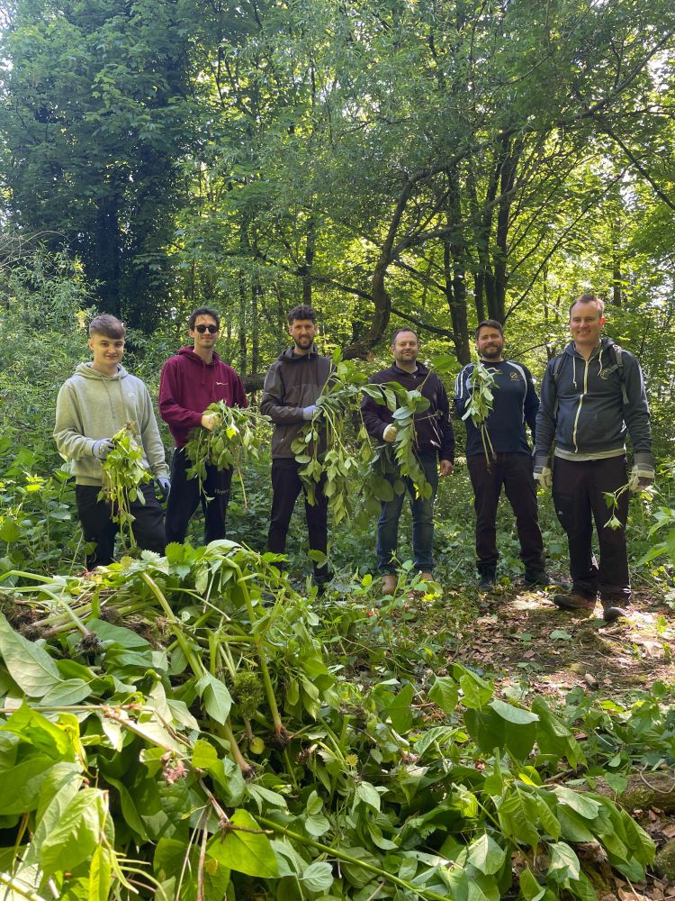 6 people stood in a line in woodland behind large pile of invasive himalayan balsam that's just been uprooted to support woodland biodiversity