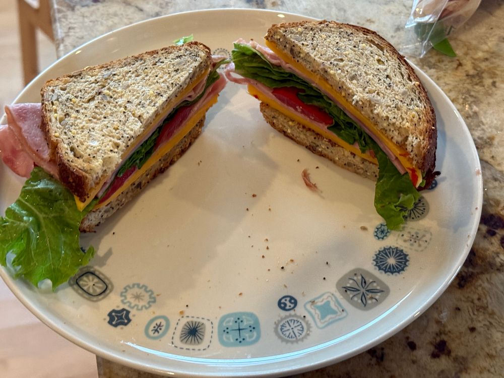 Ham and cheese sandwich with lettuce and homegrown tomatoes