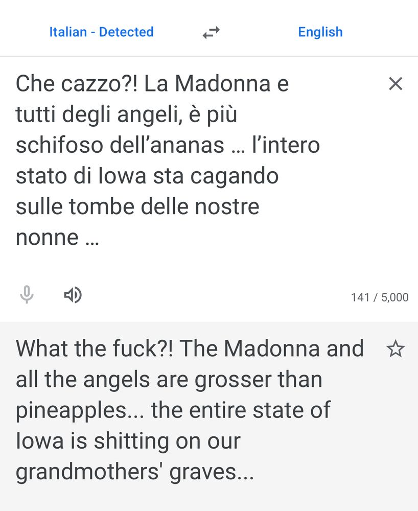 Google translation of Italian: What the fuck?! The Madonna and all the angels are grosser than pineapples. The entire state of Iowa is shitting on our grandmother’s graves 