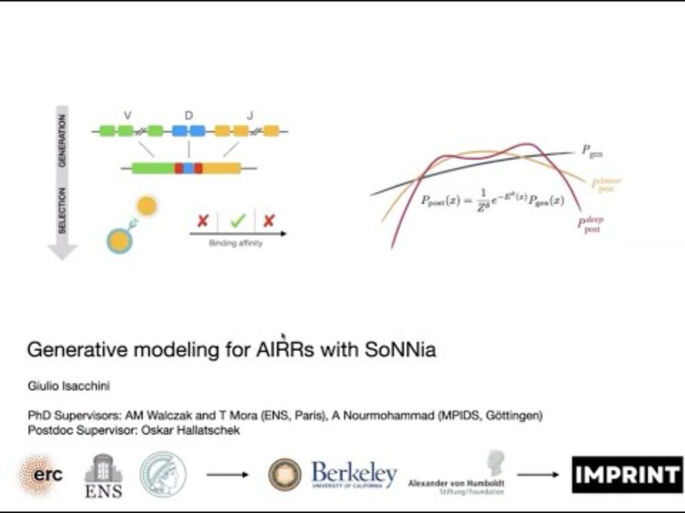 AIRR-C Seminar Series, Sep 26, 2024 - Giulio Isacchini, Imprint Labs, USA