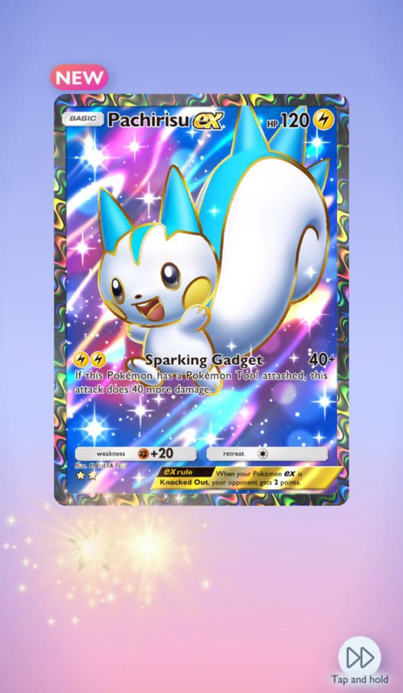 Pachirisu ex