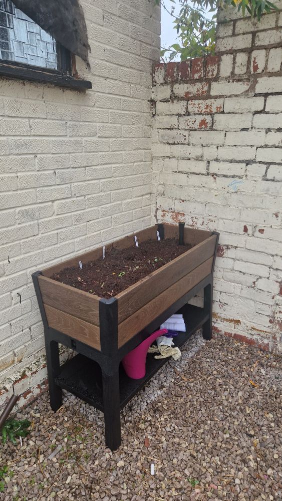 an elevated garden bed filled with soil and some sprouts popping out